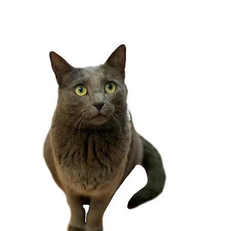 Bed & Breakfast Choco Loca Loft, Bed, Bad & Bol