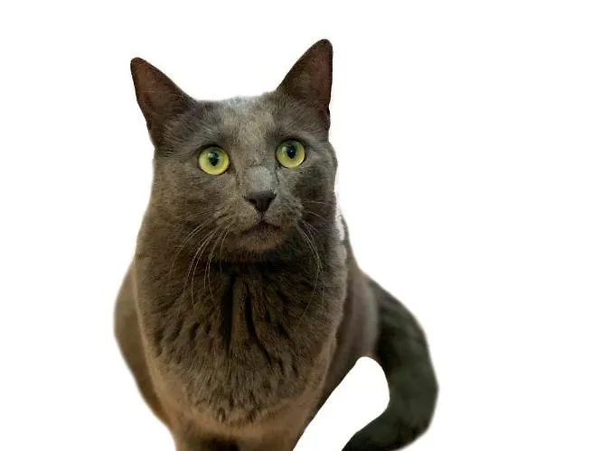 Panzió Choco Loca Loft, Bed, Bad & Bol